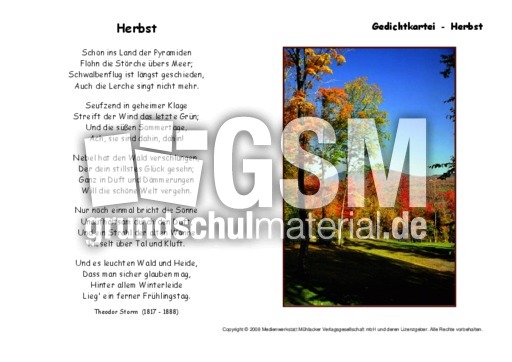Herbst-Storm-B.pdf